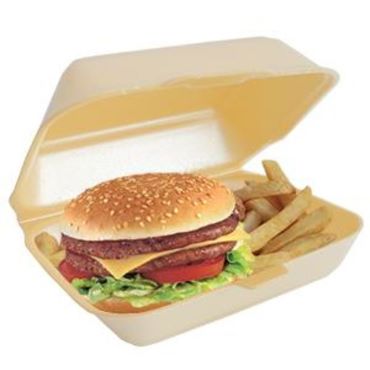 HB9(N9) Burger & Chips Boxes-(Gold)-1x25001